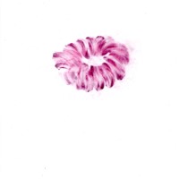 pastel rose sur calque ,21,5x15cm MX 2010 09